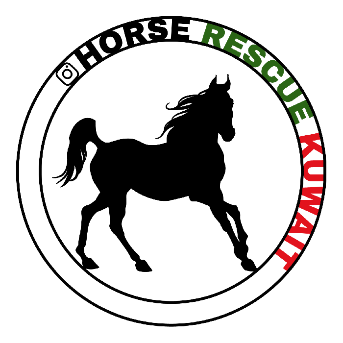 Horse rescue kuwait